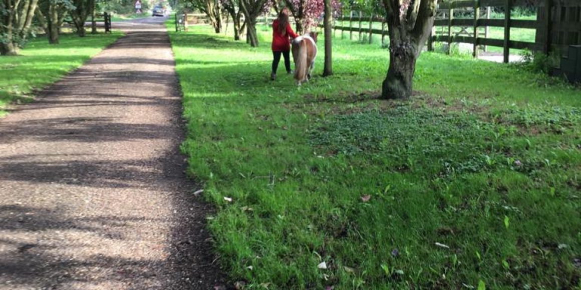 Macy's off to walk the pony!