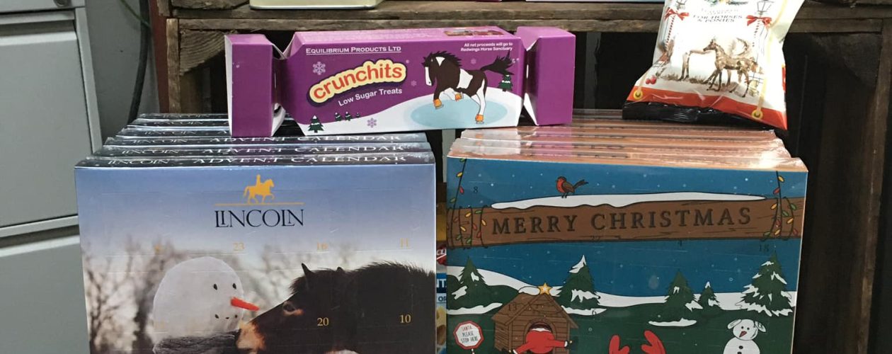 Christmas Pet Gifts