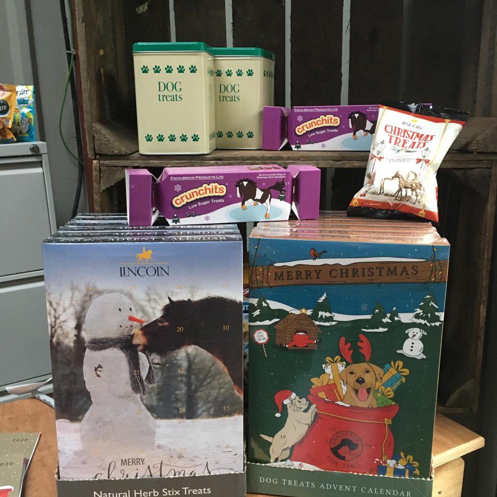 Christmas Pet Gifts